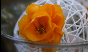 Flowers and string balls made by Wed.